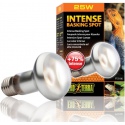 EXO TERRA Intense Basking Spot 25W (heating bulb)